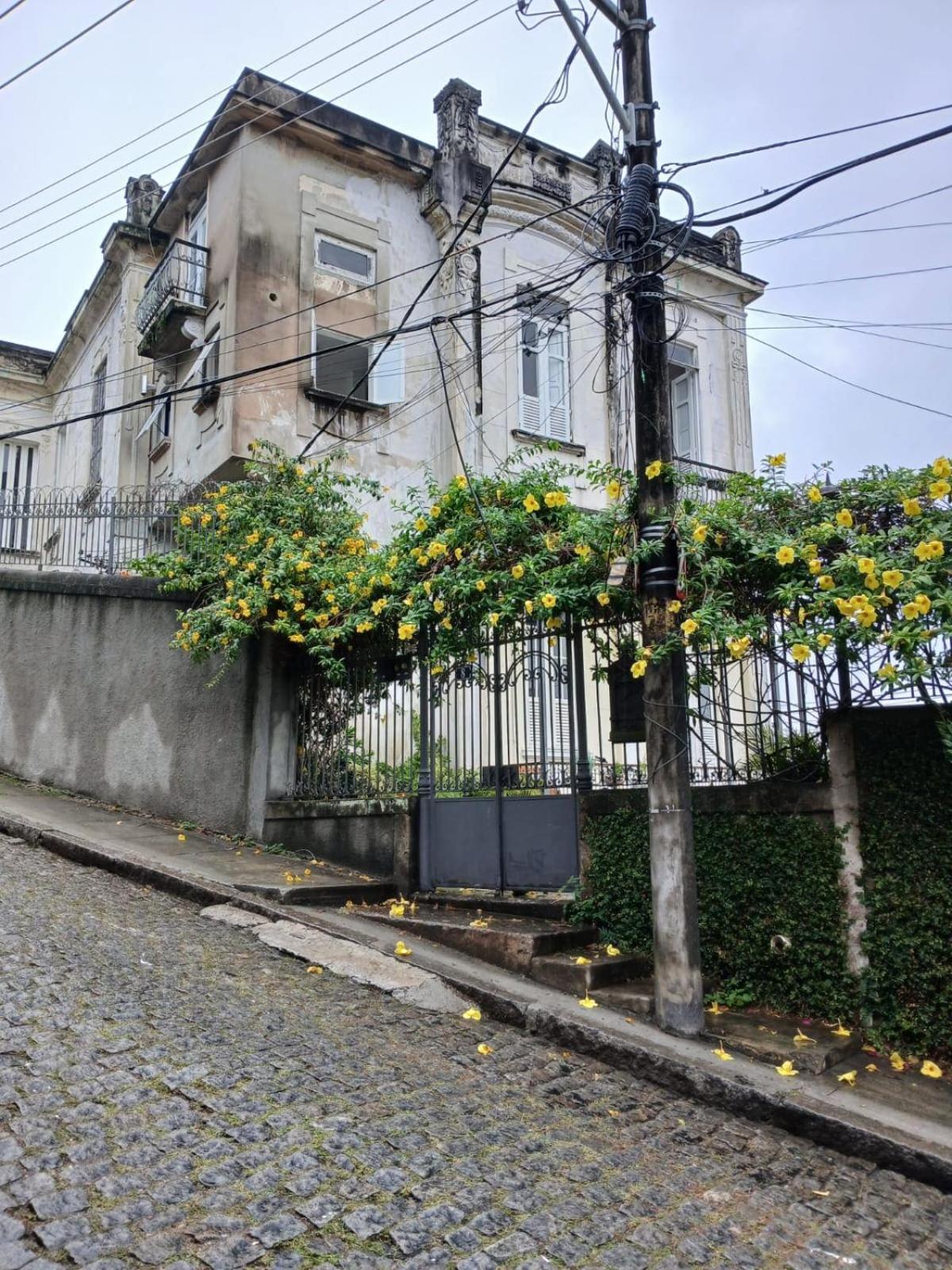 Luminoso E Arrejado